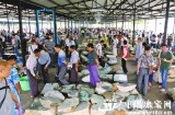 缅甸著名玉石翡翠市场 让你“带钱进门无钱出门”