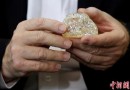 “和平钻石”在以色列展出 约为709克拉